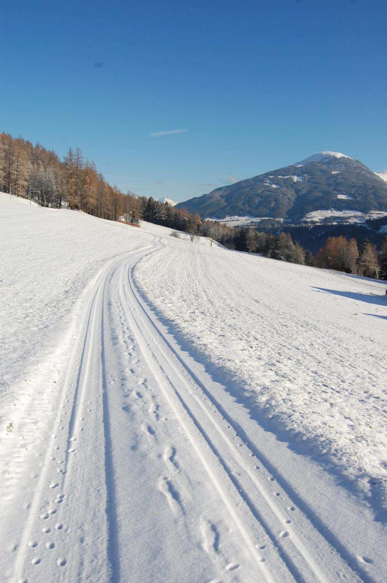 Ferienwohnungen Unterluimes Telfes im Stubai Eksteriør bilde